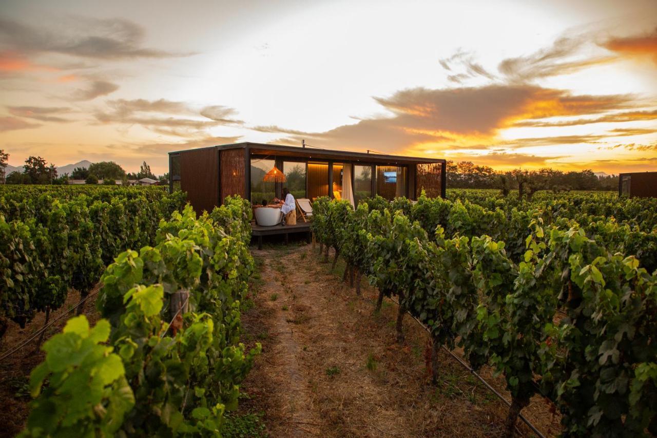 Vibo Wine Lodge At Viu Manent Santa Cruz Exterior foto