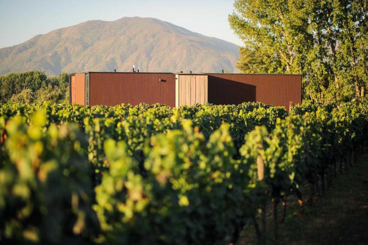 Vibo Wine Lodge At Viu Manent Santa Cruz Exterior foto